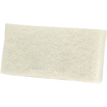 Laudepesimen Hankaussieni Aino