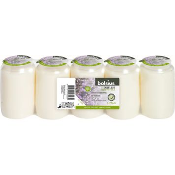 Öljykynttilä Bolsius 50 h 5 kpl