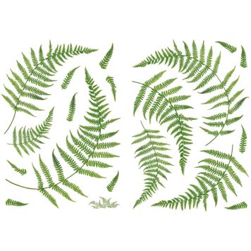 Sisustustarra Plage Saniainen 2 kpl