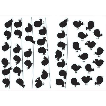 Seinätarra Plage Linnut Langalla