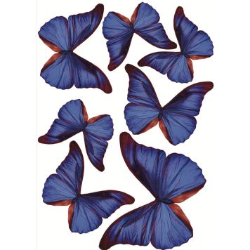 Seinätarra 3D Plage Siniset Perhoset 7 x 3D