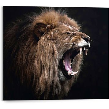 Sisustustaulu Reinders Roaring Lion 40 x 50 cm