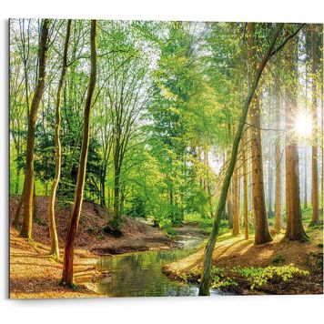 Sisustustaulu Reinders Spring Woods 40 x 50 cm