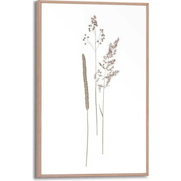 Sisustustaulu Reinders Dried Flowers 20 x 30 cm