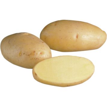 SIEMENPERUNA NICOLA 5 KG