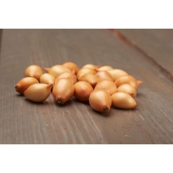 Istukassipuli Sturon 500 g