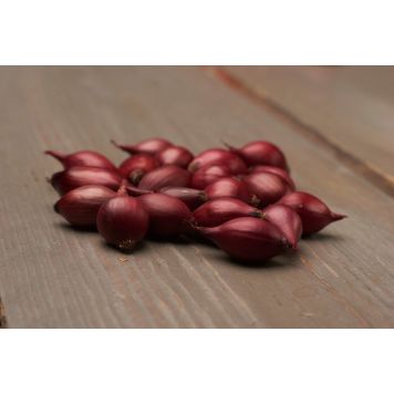 Punasipuli Red Baron 500 g