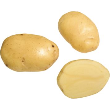 SIEMENPERUNA SIIKLI 1 KG