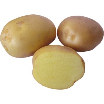 SIEMENPERUNA JUSSI 5 KG