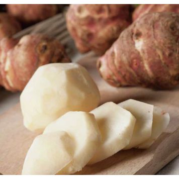 Maa-artisokka Helianthus Tuberosus 10 kpl