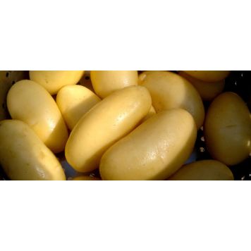 SIEMENPERUNA ANNABELLE 5 KG