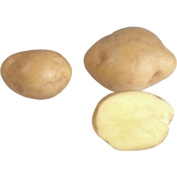 SIEMENPERUNA TIMO 1 KG