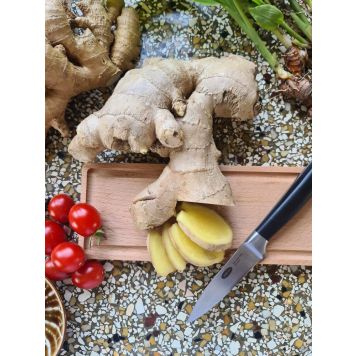 Inkivääri Zingiber Officinalis 6 kpl