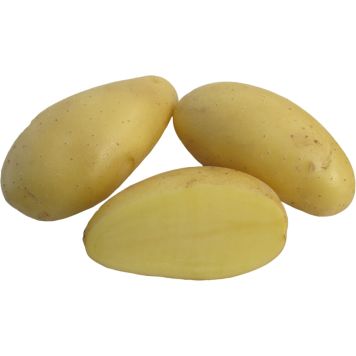 SIEMENPERUNA JAZZY 1 KG