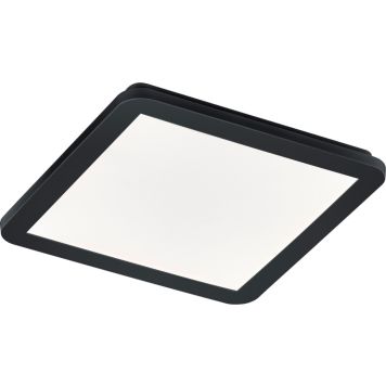 Plafondi Reality Camillus LED 15 W