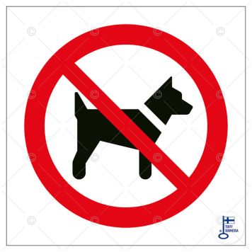 Huomiokyltti ei koiria 100 x 100 mm