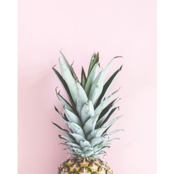 Painokuva Art Link Pineapple 40 x 50 cm