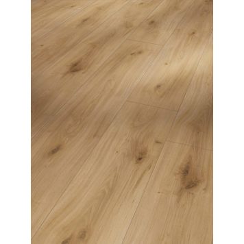Laminaatin mallipala Parador Basic 600 Oak Horizont Natural