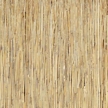 Kaislamatto 1,2 x 6 m