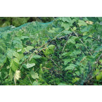 Rastasverkko 8x12 m 96 m²