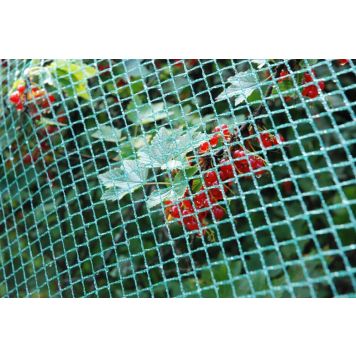Rastasverkko pienisilmäinen 40 m²