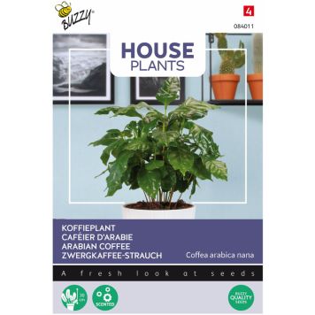 Arabiankahvi Buzzy House Plants