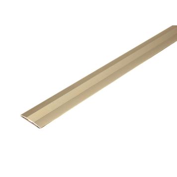 Tarrasaumalista Dione uritettu pronssi 38 mm