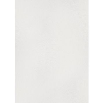 Kuitutapetti Erismann Envogue Wiper 10403-01 valkoinen