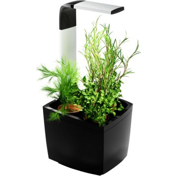 Sisäpuutarha Tregren T3 musta