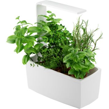 Sisäpuutarha Tregren T6 valkoinen