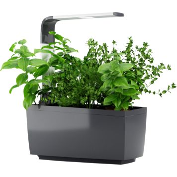 Sisäpuutarha Tregren T6 harmaa