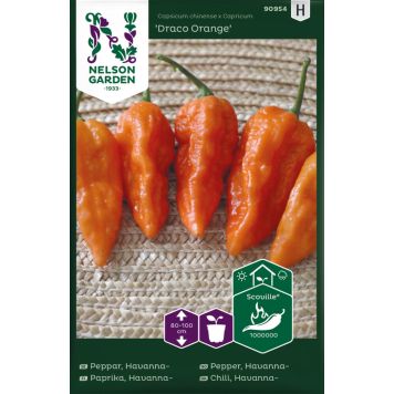 Chilipaprika Havanna Drago Orange