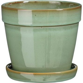 Suojaruukku Clint aluslautasella 15 cm mintunvihreä