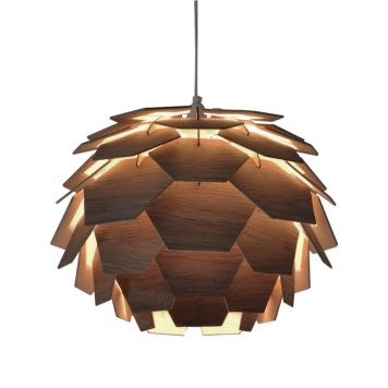 Riippuvalaisin Aneta Carpatica Puu