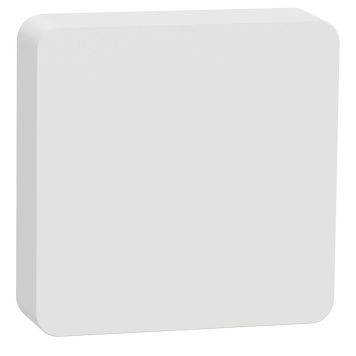 Lämpötila- ja kosteusmittari Schneider Electric langaton Wiser Zigbee