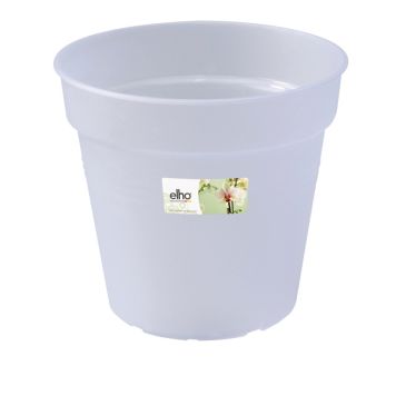 Orkidearuukku Elho Green Basics Huurre 15 cm