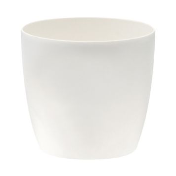 Suojaruukku Elho Brussels Valkoinen 25 cm