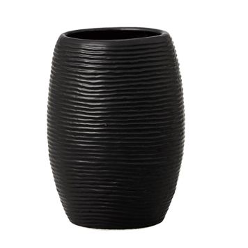 Hammasharjamuki Venus Linea