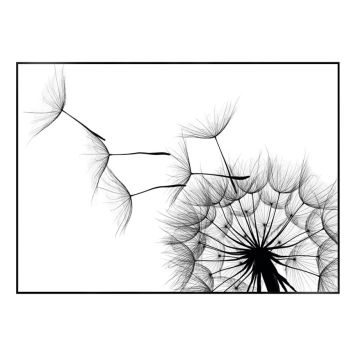 Sisustustaulu Reinders Dandelion 50 x 70 cm