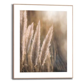 Sisustustaulu Reinders Sunset Grasses 40 x 50 cm