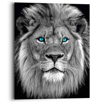 Sisustustaulu Reinders Blue Eyed Lion 40 x 50 cm