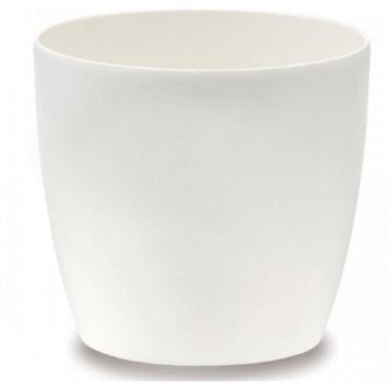 Suojaruukku Elho Brussels Valkoinen 12,5 cm