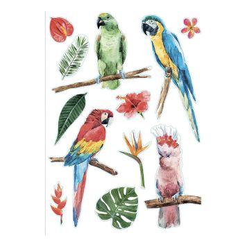 Julistetarra Plage Brazilia