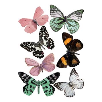 Seinätarra Plage 3D Kuultavat Perhoset