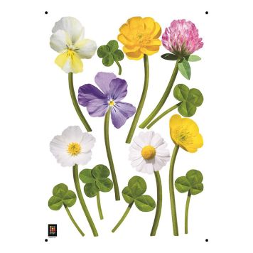 Julistetarra Plage Kukat