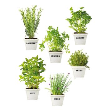 Staattinen Tarra Plage Tuoksu Aromi