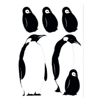 Julistetarra Plage Antarctic