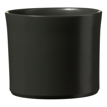 Suojaruukku Miami matta antrasiitti 20 cm