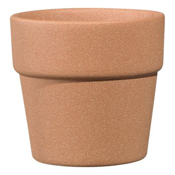 SUOJARUUKKU LIMA 7 CM TERRA