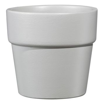 SUOJARUUKKU LIMA 7 CM VAALEANHARMAA